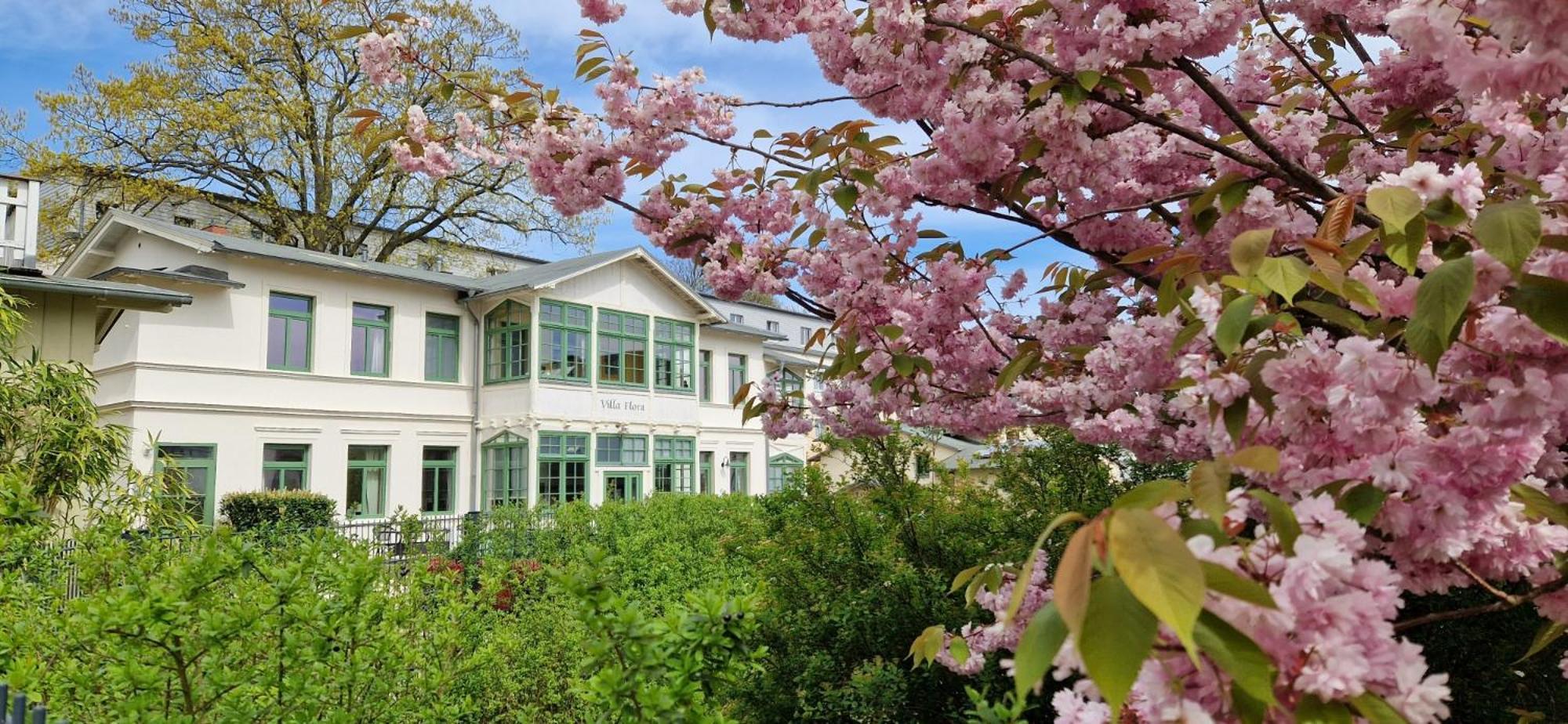 Villa Flora Heringsdorf  Exteriör bild